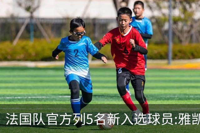 法国队官方列5名新入选球员:雅凯、迪乌夫、勒波尔、达库尼亚在列